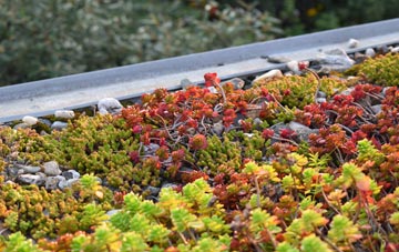 the cost of Ryeworth green roof installation