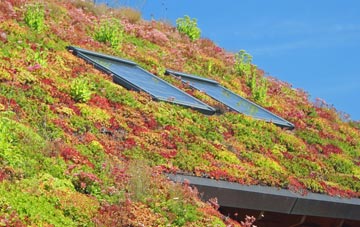 Ryeworth living roof systems